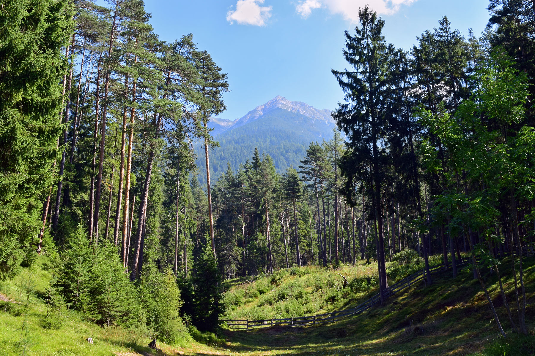 Reith bei Seefeld